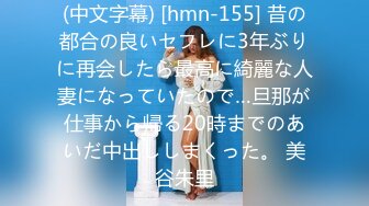 (中文字幕) [hmn-155] 昔の都合の良いセフレに3年ぶりに再会したら最高に綺麗な人妻になっていたので…旦那が仕事から帰る20時までのあいだ中出ししまくった。 美谷朱里