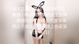 很不正规的极品【暗黑KTV】集合！都是高质量的公主女神，直接在KTV包间里尺度非常惊人！美女们放在路上也妥妥的女神 (1)