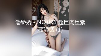 潘娇娇 - NO.001 超巨肉丝紫薇骚话 (1)