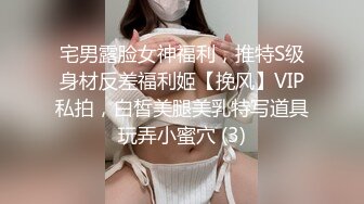 宅男露脸女神福利，推特S级身材反差福利姬【挽风】VIP私拍，白皙美腿美乳特写道具玩弄小蜜穴 (3)