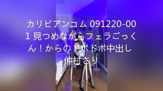 カリビアンコム 091220-001 見つめながらフェラごっくん！からのドボドボ中出し 仲村さり