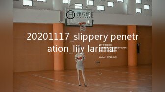 20201117_slippery penetration_lily larimar