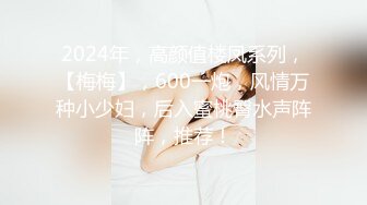 2024年，高颜值楼凤系列，【梅梅】，600一炮，风情万种小少妇，后入蜜桃臀水声阵阵，推荐！