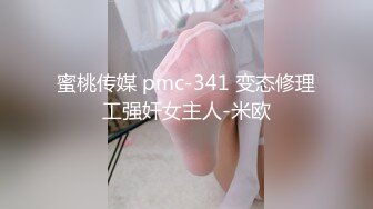 蜜桃传媒 pmc-341 变态修理工强奸女主人-米欧