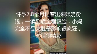 怀孕7.8个月忙着出来赚奶粉钱，一镜到底全程露脸，小妈完全不受大肚子影响很疯狂，对话很精彩