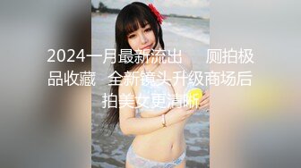 2024一月最新流出❤️厕拍极品收藏⭐全新镜头升级商场后拍美女更清晰