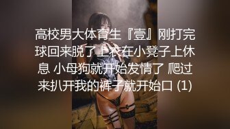 爆乳女神的晚餐