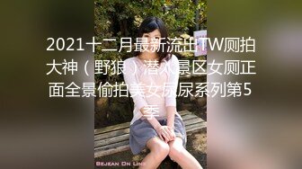 2021十二月最新流出TW厕拍大神（野狼）潜入景区女厕正面全景偷拍美女尿尿系列第5季