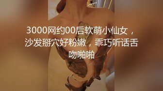 3000网约00后软萌小仙女，沙发掰穴好粉嫩，乖巧听话舌吻啪啪