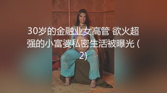 30岁的金融业女高管 欲火超强的小富婆私密生活被曝光 (2)