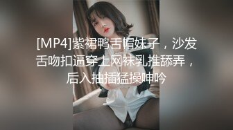 [MP4]紫裙鸭舌帽妹子，沙发舌吻扣逼穿上网袜乳推舔弄，后入抽插猛操呻吟