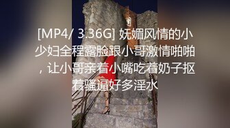 [MP4/ 3.36G] 妩媚风情的小少妇全程露脸跟小哥激情啪啪，让小哥亲着小嘴吃着奶子抠着骚逼好多淫水