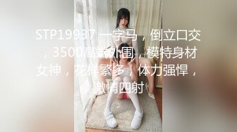 [MP4/982M]2/28最新 胡子哥酒店约炮刚刚离异的美女销售员顺理成章的拿下了VIP1196