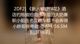 2DF2] 《新人福建探花》酒店约炮偷拍刚出来混的大奶兼职小姐连老汉推车都不会弄得小胖哥很费劲 -[MP4/56.5MB][BT种子]