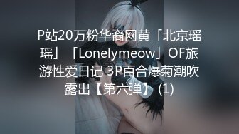 P站20万粉华裔网黄「北京瑶瑶」「Lonelymeow」OF旅游性爱日记 3P百合爆菊潮吹露出【第六弹】 (1)