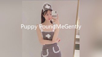 Puppy PoundMeGently