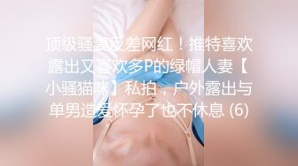 顶级骚妻反差网红！推特喜欢露出又喜欢多P的绿帽人妻【小骚猫咪】私拍，户外露出与单男造爱怀孕了也不休息 (6)