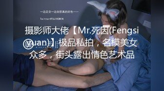 摄影师大佬【Mr.死因(Fengsiyuan)】极品私拍，名模美女众多，街头露出情色艺术品