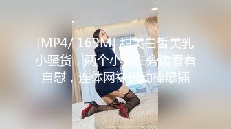 [MP4/ 169M] 甜美白皙美乳小骚货，两个小哥在旁边看着自慰，连体网袜振动棒爆插