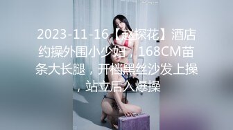 2023-11-16【赵探花】酒店约操外围小少妇，168CM苗条大长腿，开档黑丝沙发上操，站立后入爆操