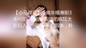 【小马寻花】今晚车模兼职3K一次，开放式厨房的疯狂大胆后入，婀娜多姿的胴体，补偿价66一票制