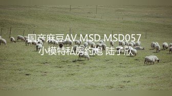 国产麻豆AV MSD MSD057 小模特私房约炮 陆子欣