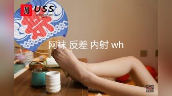 网袜 反差 内射 wh