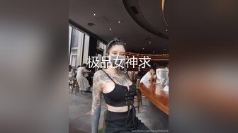 极品女神求