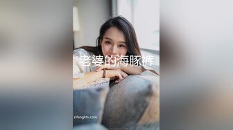 老婆的海豚裤