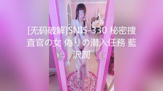 [无码破解]SNIS-330 秘密捜査官の女 偽りの潜入任務 藍沢潤