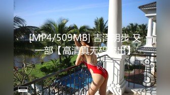 [MP4/509MB] 吉泽明步 又一部【高清真无码流出】