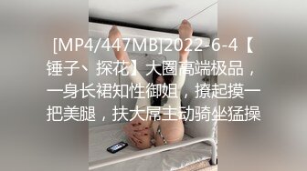 [MP4/447MB]2022-6-4【锤子丶探花】大圈高端极品，一身长裙知性御姐，撩起摸一把美腿，扶大屌主动骑坐猛操