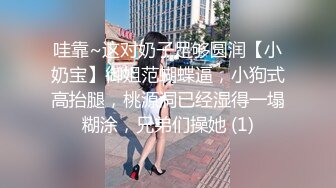 哇靠~这对奶子足够圆润【小奶宝】御姐范蝴蝶逼，小狗式高抬腿，桃源洞已经湿得一塌糊涂，兄弟们操她 (1)