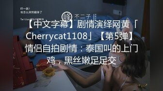 【中文字幕】剧情演绎网黄「Cherrycat1108」【第5弹】情侣自拍剧情：泰国叫的上门鸡，黑丝嫩足足交