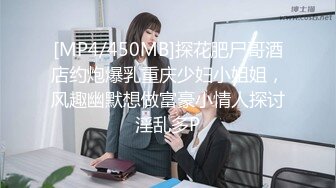 久久无码人妻一区二波多野