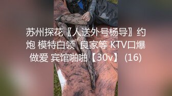 苏州探花〖人送外号杨导〗约炮 模特白领  良家等 KTV口爆做爱 宾馆啪啪【30v】 (16)