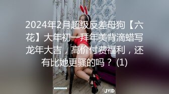 2024年2月超级反差母狗【六花】大年初一拜年美背滴蜡写龙年大吉，高价付费福利，还有比她更骚的吗？ (1)