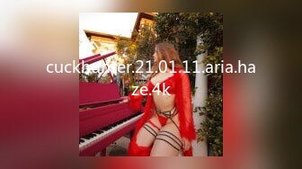 cuckhunter.21.01.11.aria.haze.4k