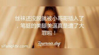 丝袜还没脱就被小哥哥插入了，笔挺的美腿美逼真是遭了大罪啦！