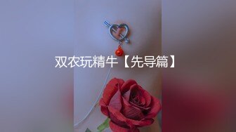 双农玩精牛【先导篇】