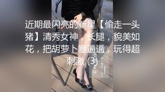 近期最闪亮的新星【偷走一头猪】清秀女神，长腿，貌美如花，把胡萝卜塞逼逼，玩得超刺激 (3)