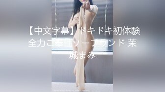 【全網首發】【稀缺】【網紅】奶兔九九淫蕩的八字巨乳收費超大尺度福利合集，包含了一部啪啪視頻 一對八字巨乳絕對挑逗你的神經～58V高清原版 (13)