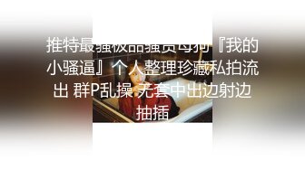 推特最骚极品骚货母狗『我的小骚逼』个人整理珍藏私拍流出 群P乱操 无套中出边射边抽插