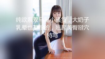 纯欲系双马尾小骚货，大奶子乳晕也是粉的，翘起美臀掰穴特写