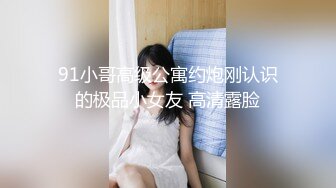 91小哥高级公寓约炮刚认识的极品小女友 高清露脸