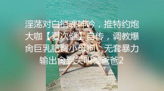 淫荡对白销魂呻吟，推特约炮大咖【夏次健】自传，调教爆肏巨乳肥臀小母狗，无套暴力输出肏到尖叫喊爸爸2