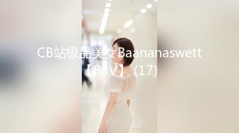 CB站极品美女Baananaswett【83V】 (17)