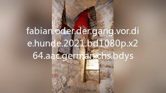 fabian.oder.der.gang.vor.die.hunde.2021.bd1080p.x264.aac.german.chs.bdys