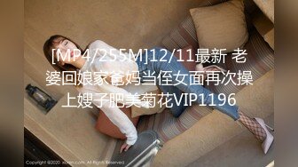 [MP4/255M]12/11最新 老婆回娘家爸妈当侄女面再次操上嫂子肥美菊花VIP1196