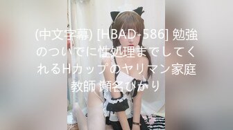 (中文字幕) [HBAD-586] 勉強のついでに性処理までしてくれるHカップのヤリマン家庭教師 瀬名ひかり